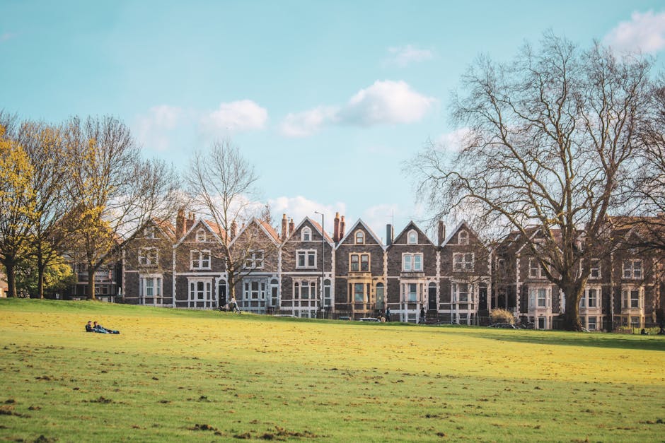 A row of traditional terraced houses with brick facades and white-framed windows is visible in the background, situated behind a large, well-maintained grassy park area. Several mature, leafless trees are positioned along the edge of the park, casting shadows on the grass. In the foreground, a few people are sitting on and walking across the lawn, while a group of cardboard boxes and packing materials are spread out on the grass, indicating packing and moving preparations. Near the houses, a white van is parked on the street, with the rear doors open and a moving trolley nearby, suggesting an ongoing furniture transport or home relocation process. The scene is set under a bright blue sky with scattered clouds, illuminated by natural daylight, capturing a typical day during a house removal or moving service, with the environment and objects arranged to support the context of property packing, loading, and transportation by Movers Bow.
